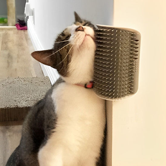 Cat Scratcher™