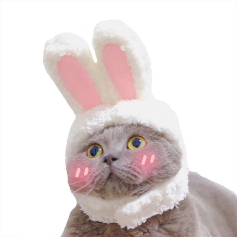 BeanieCute™ - Rabbit Cap for cat - UniversOfCats