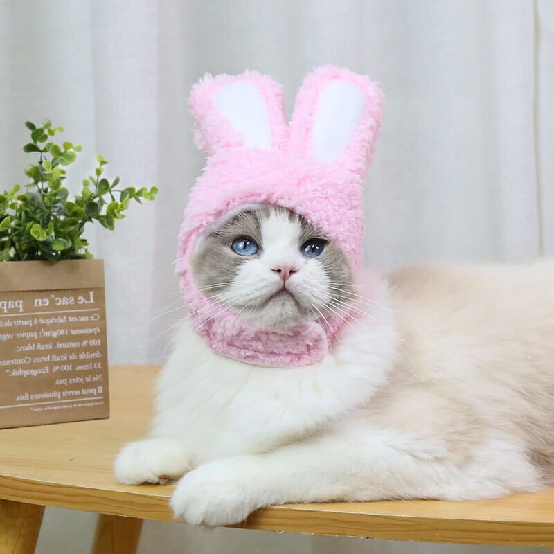 BeanieCute™ - Rabbit Cap for cat - UniversOfCats