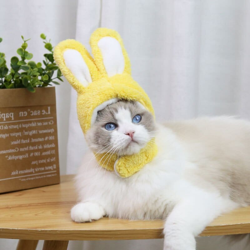 BeanieCute™ - Rabbit Cap for cat - UniversOfCats