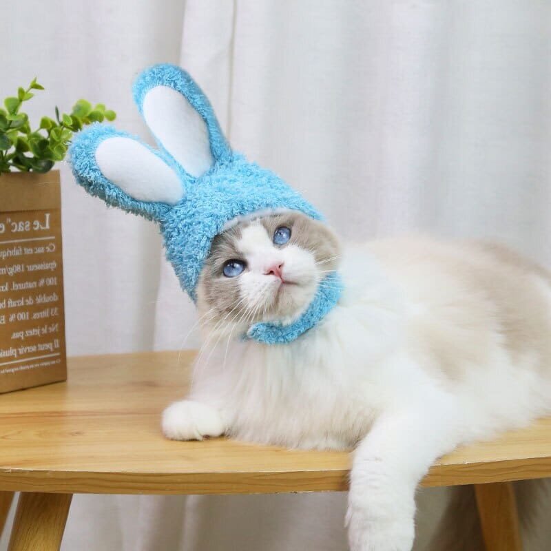 BeanieCute™ - Rabbit Cap for cat - UniversOfCats