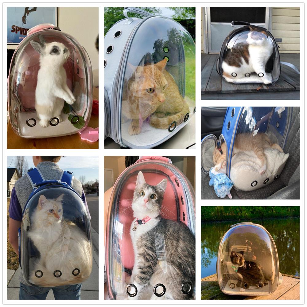 KittenHome™ - Pet carrying bag ventilated - UniversOfCats