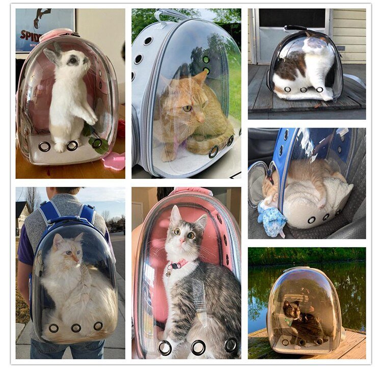 KittenHome™ - Pet carrying bag ventilated - UniversOfCats