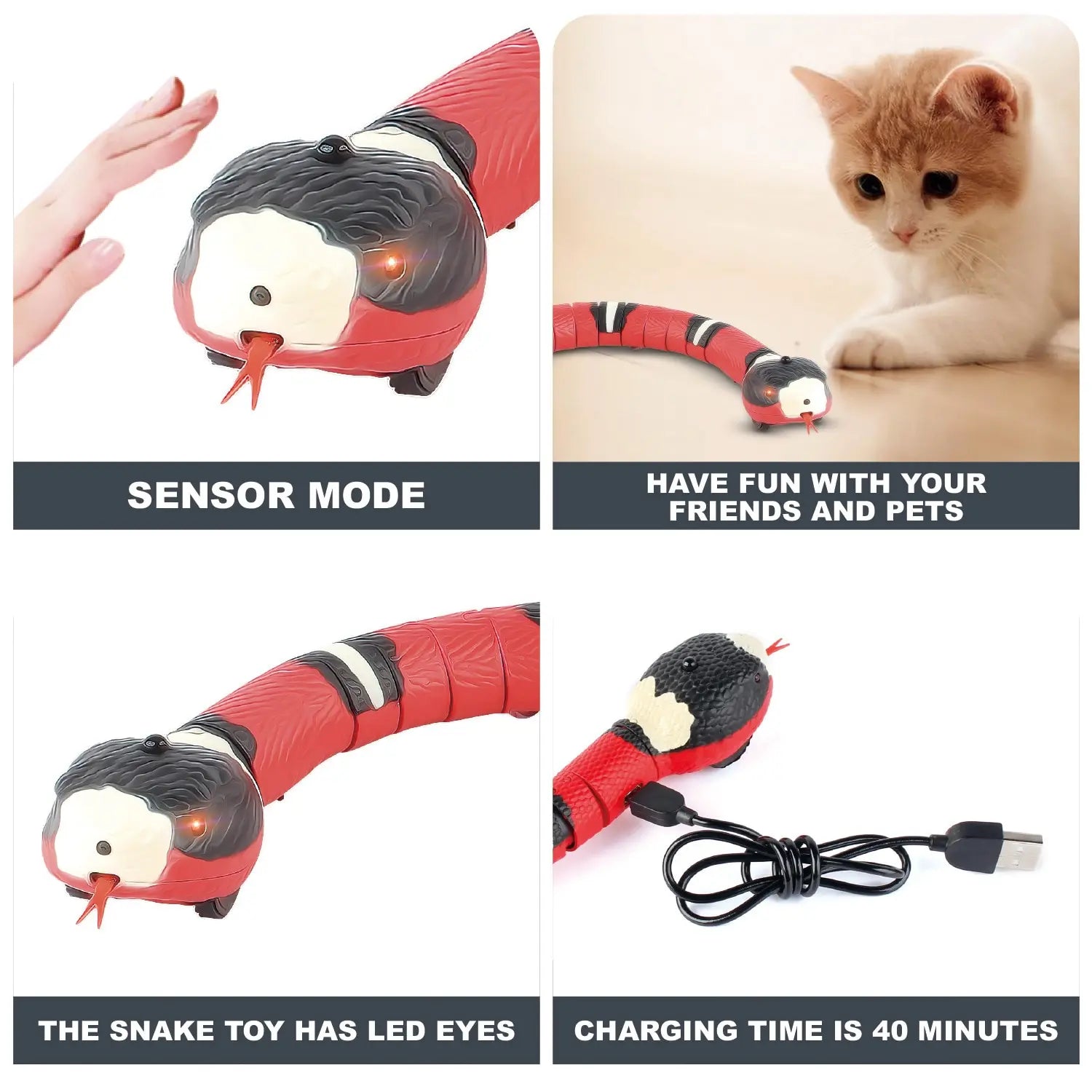 KittenInteractiveToy™ - UniversOfCats